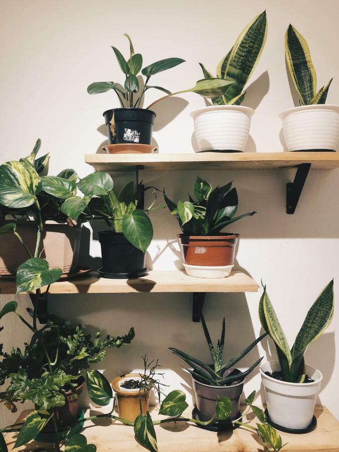 Cozy Hostel Kampong Sembulan Zewnętrze zdjęcie